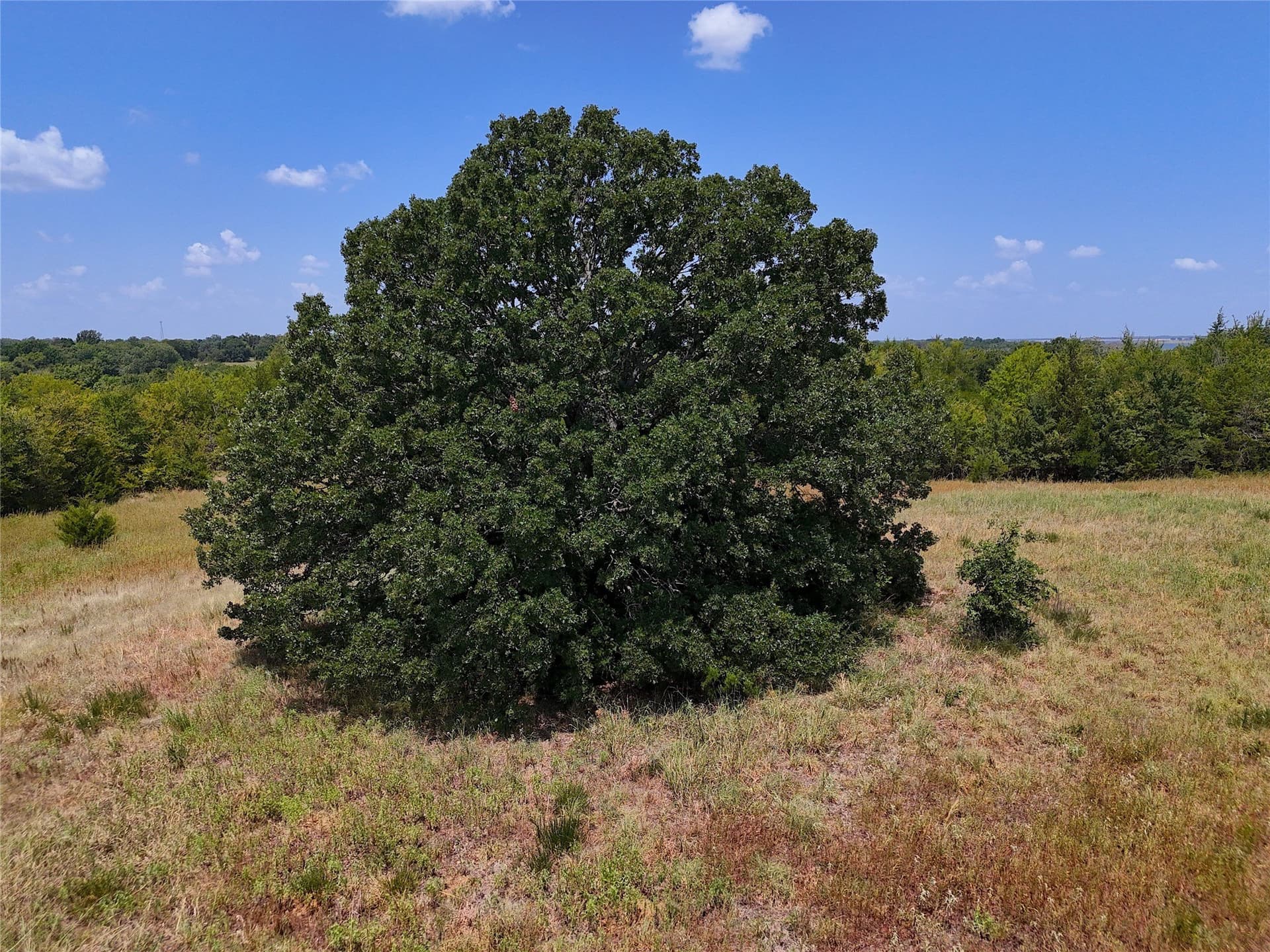 16 acres in Fannin County - photo 4