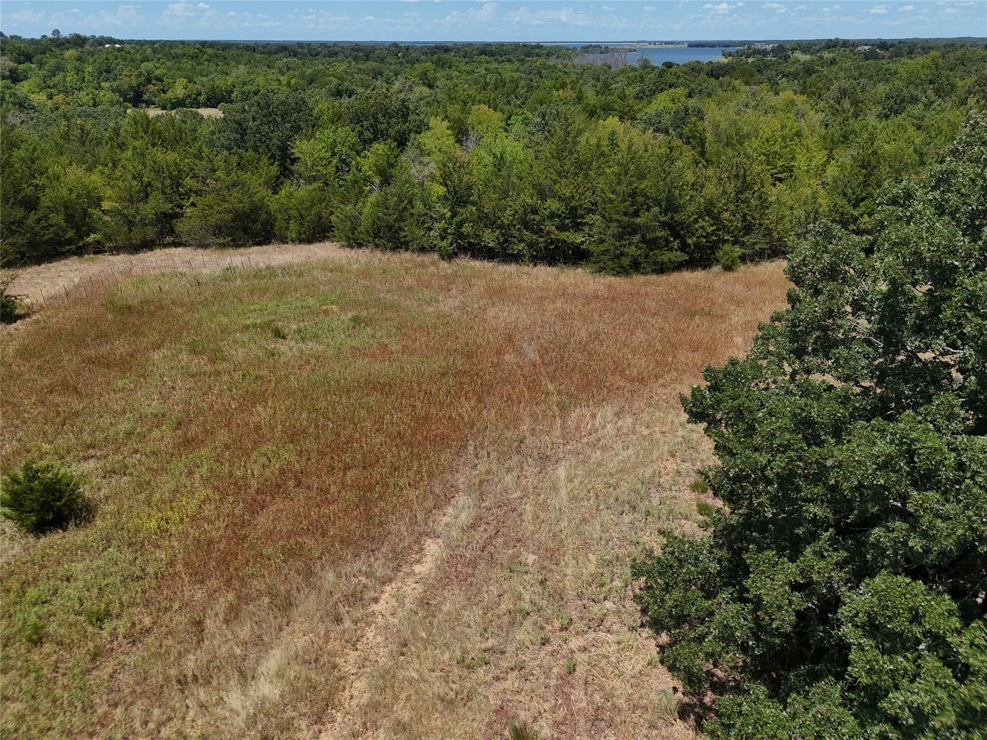 16 acres in Fannin County - photo 19