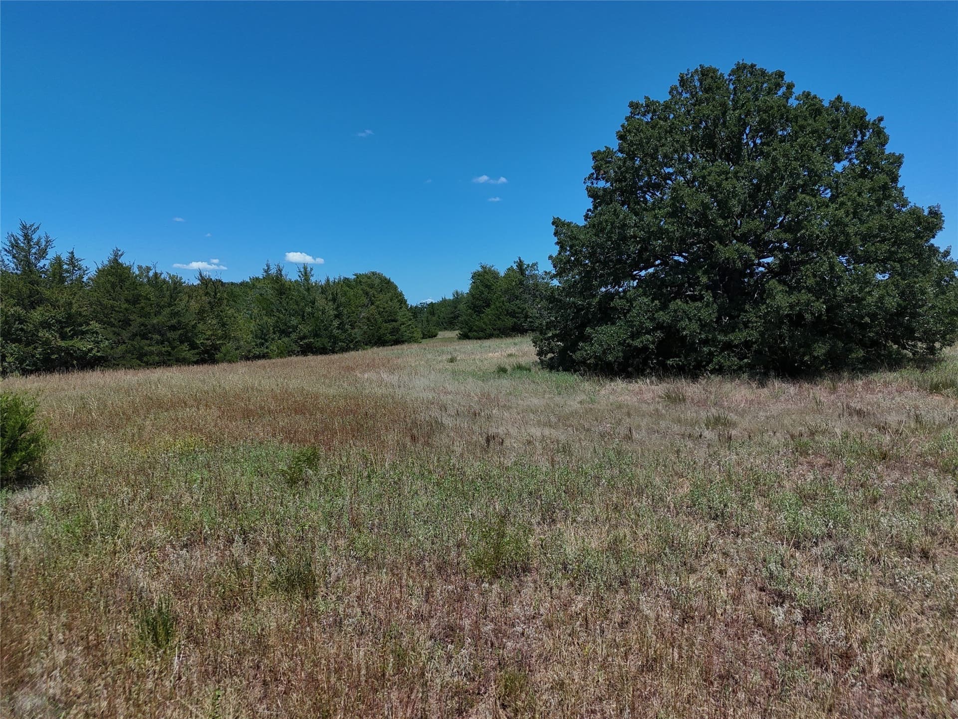 16 acres in Fannin County - photo 17