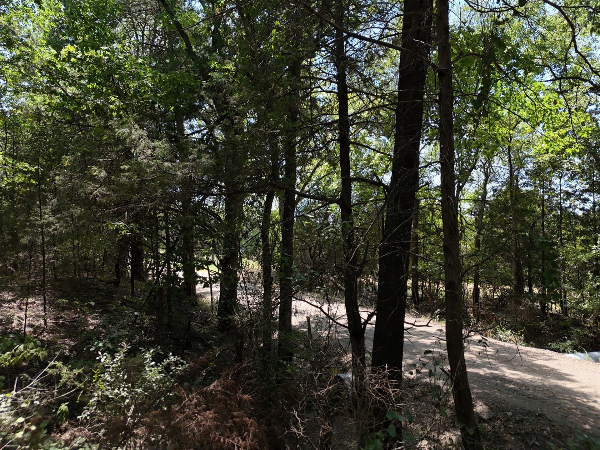 16 acres in Fannin County - photo 7