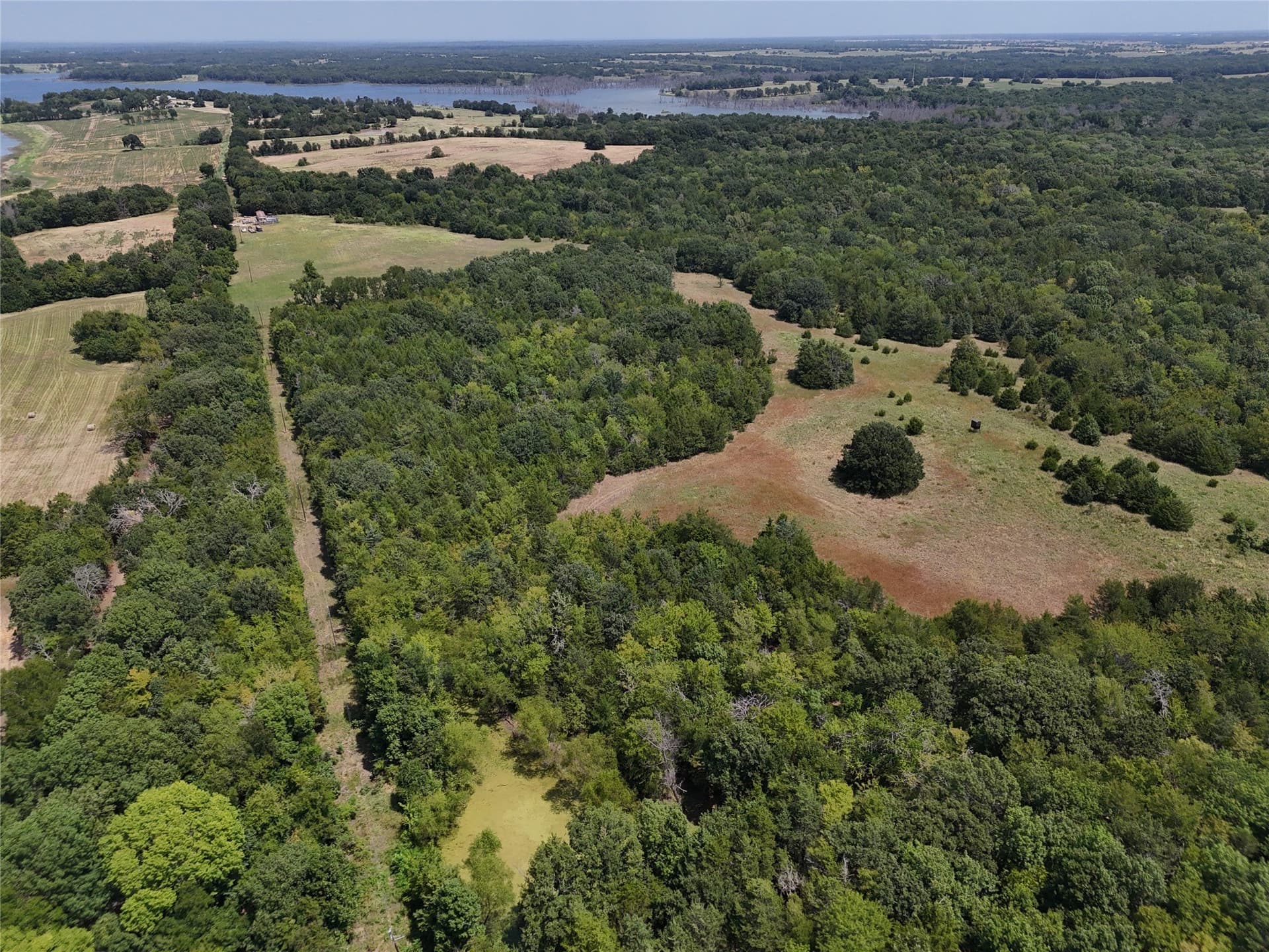 16 acres in Fannin County - photo 2