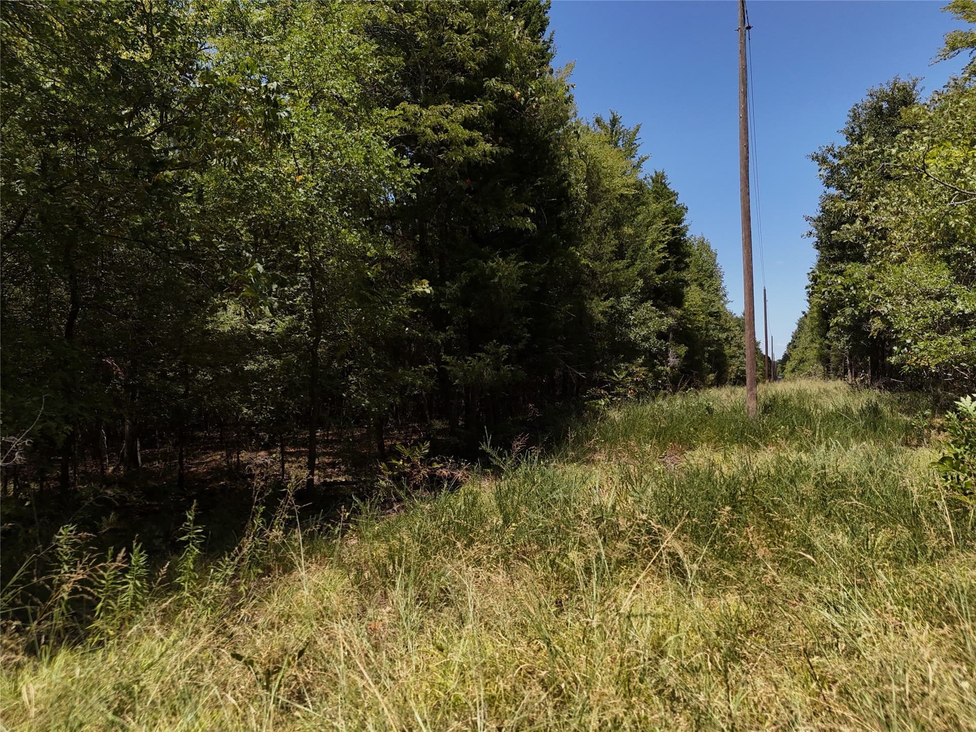 16 acres in Fannin County - photo 9