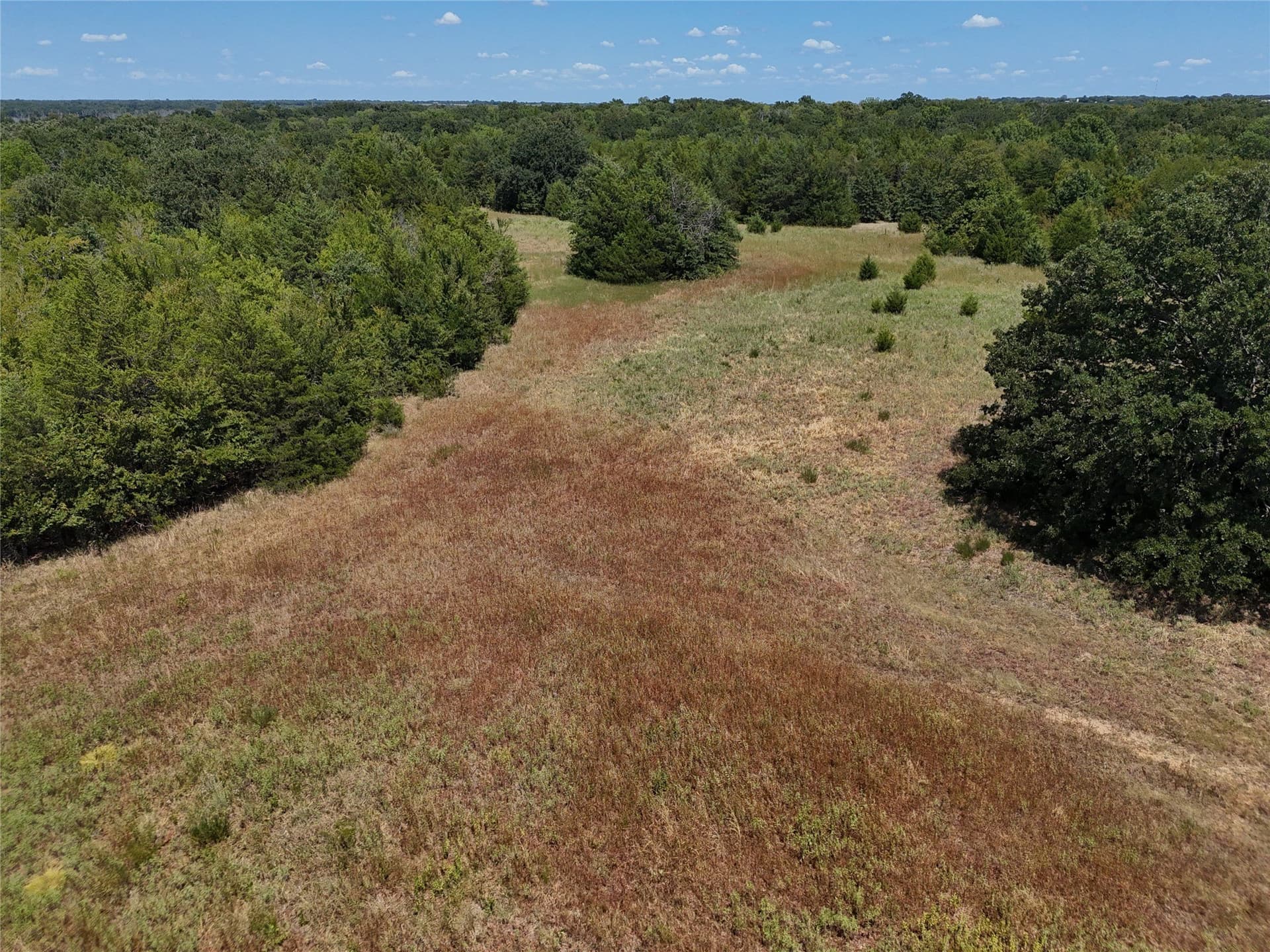 16 acres in Fannin County - photo 14