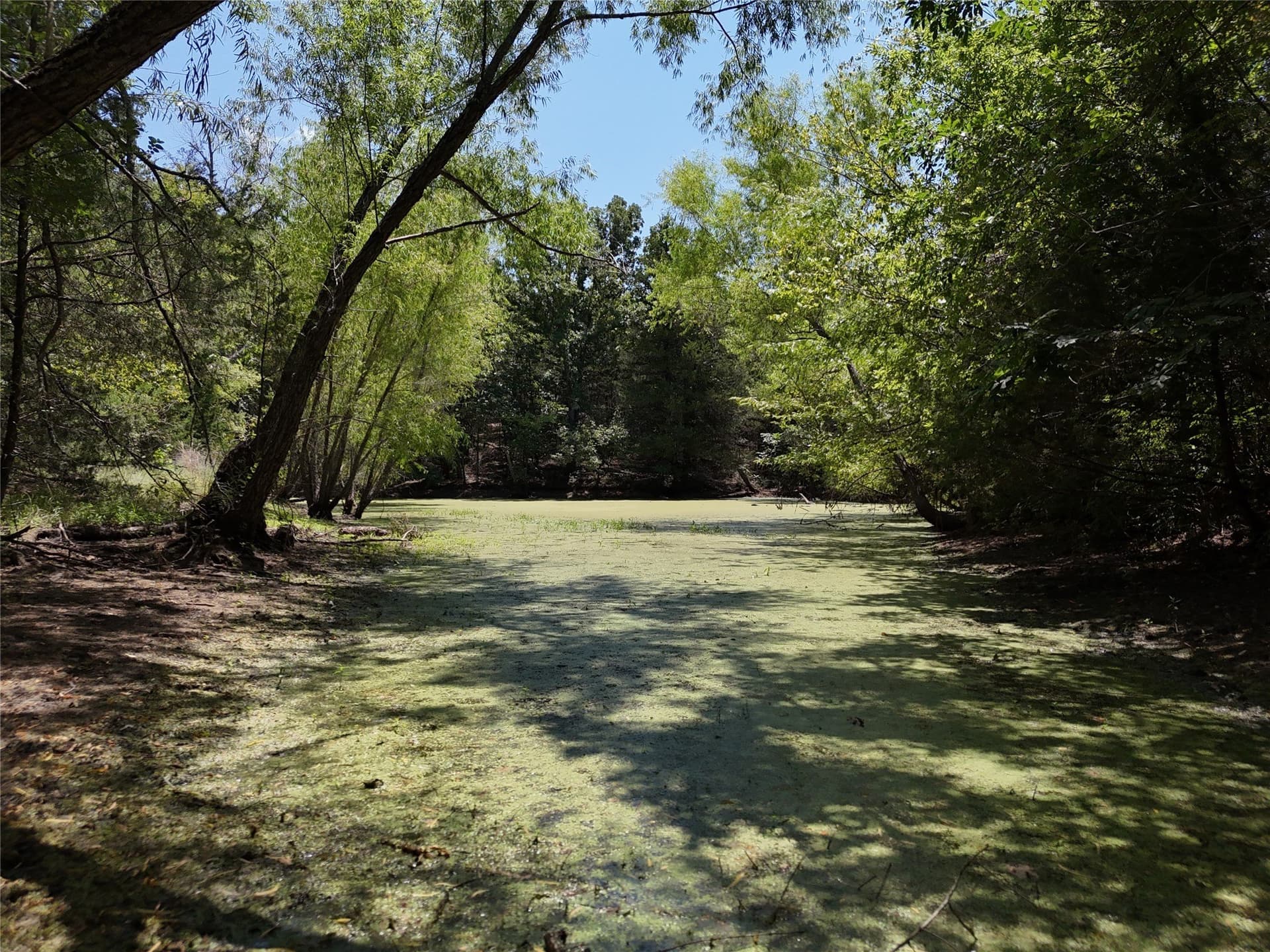 16 acres in Fannin County - photo 10