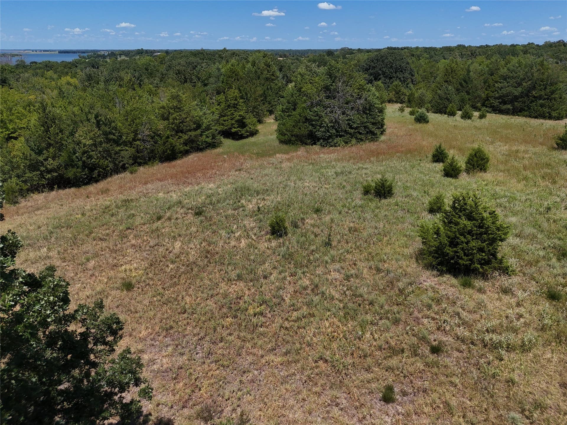 16 acres in Fannin County - photo 21
