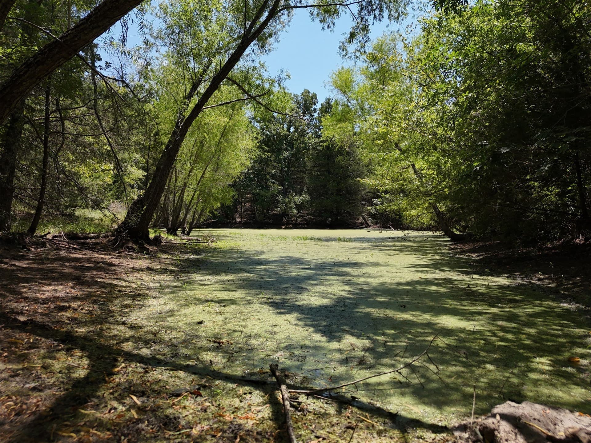 16 acres in Fannin County - photo 11
