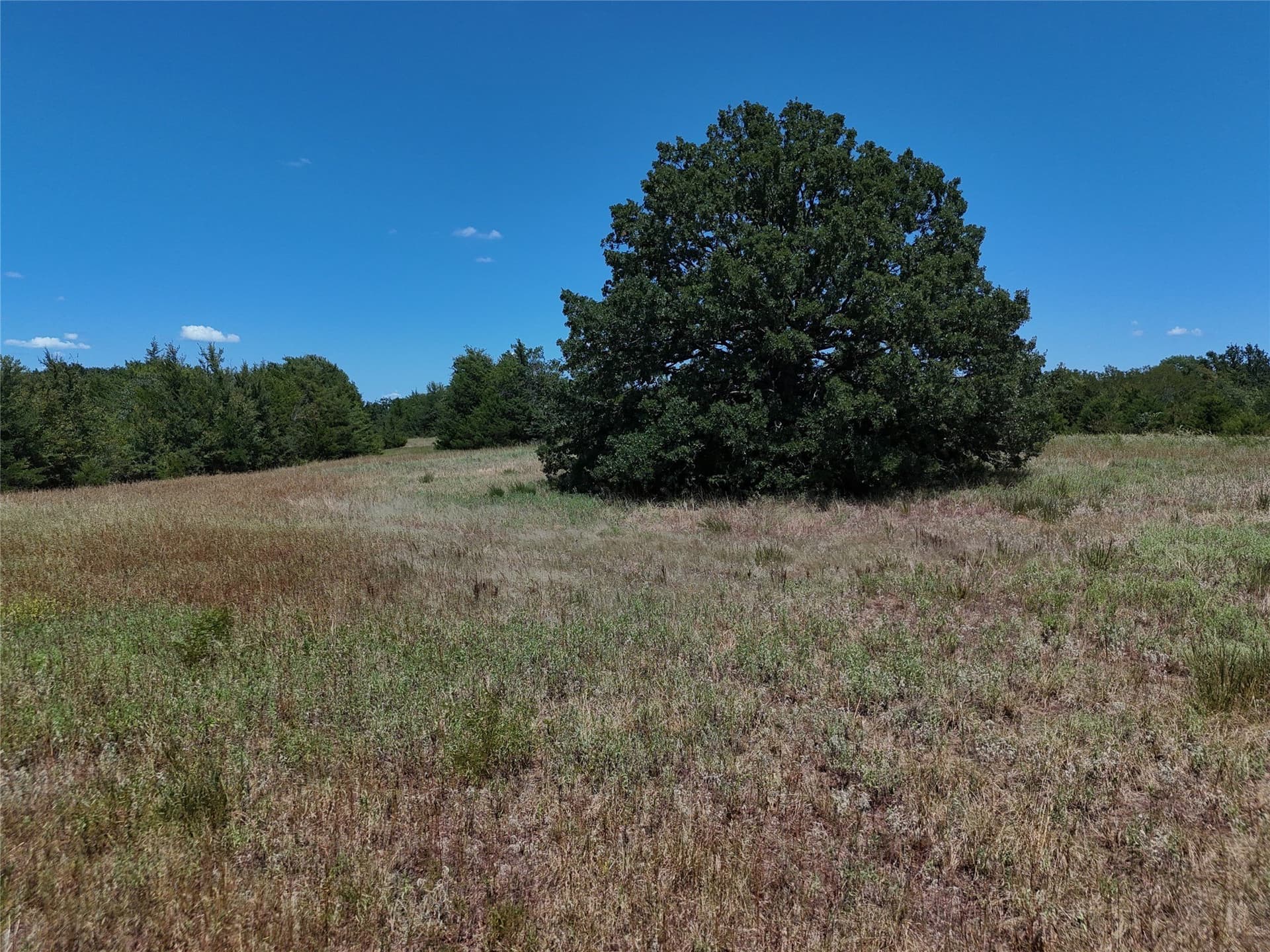 16 acres in Fannin County - photo 16