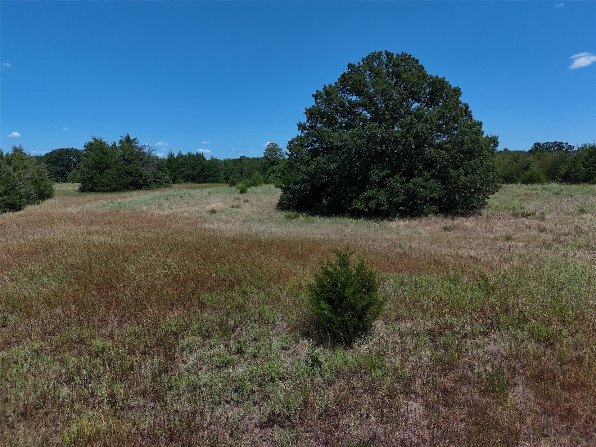 16 acres in Fannin County - photo 12
