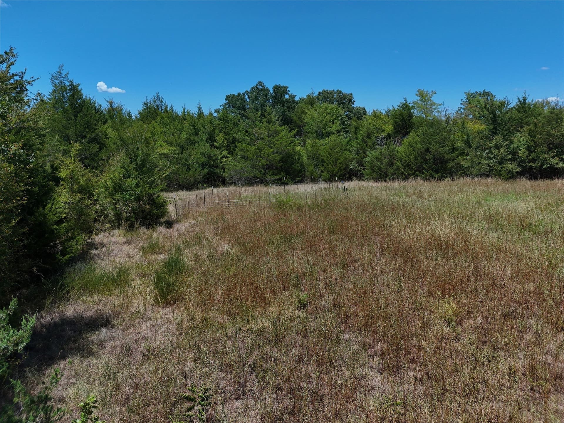 16 acres in Fannin County - photo 13