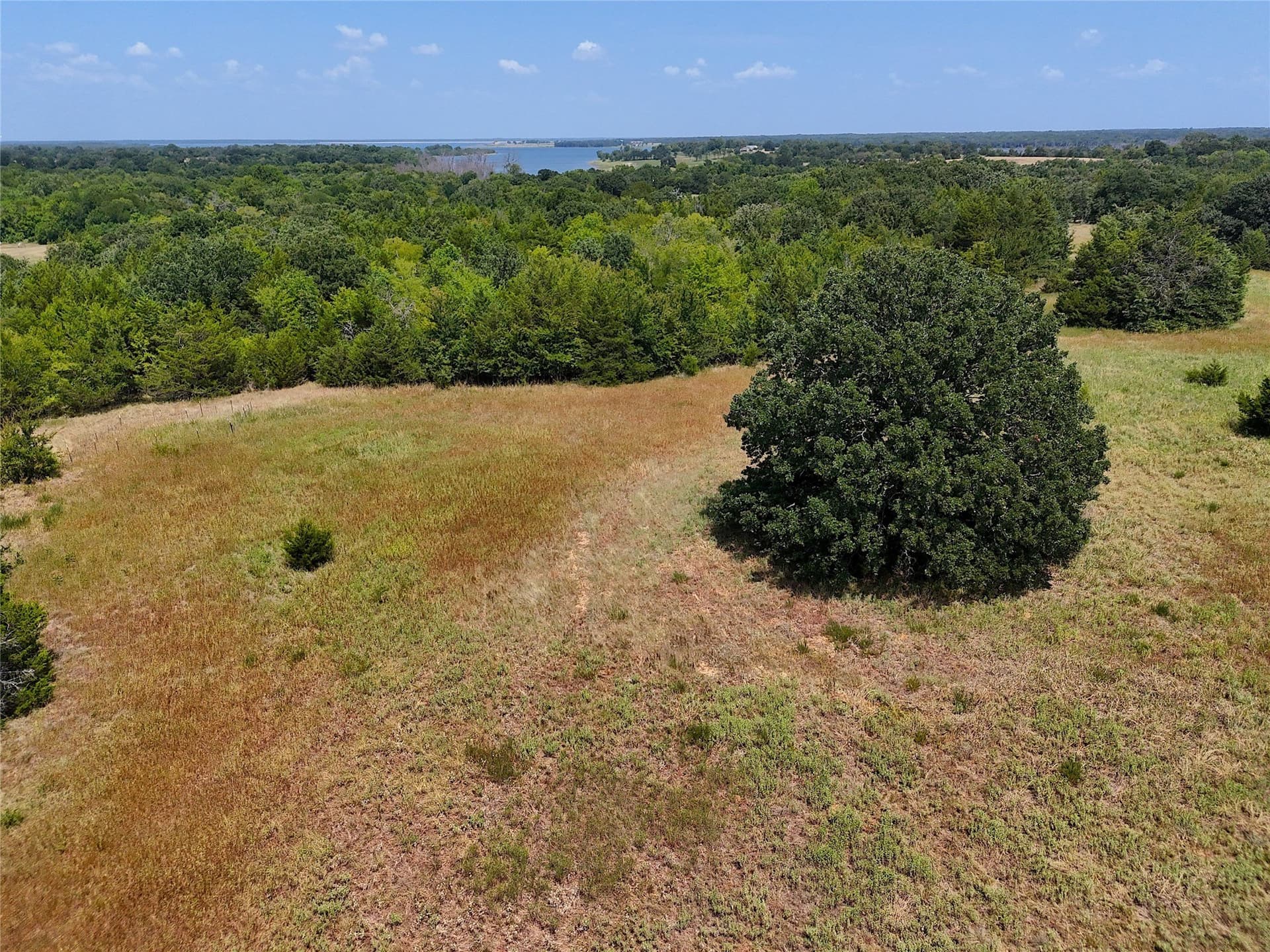 16 acres in Fannin County - photo 5