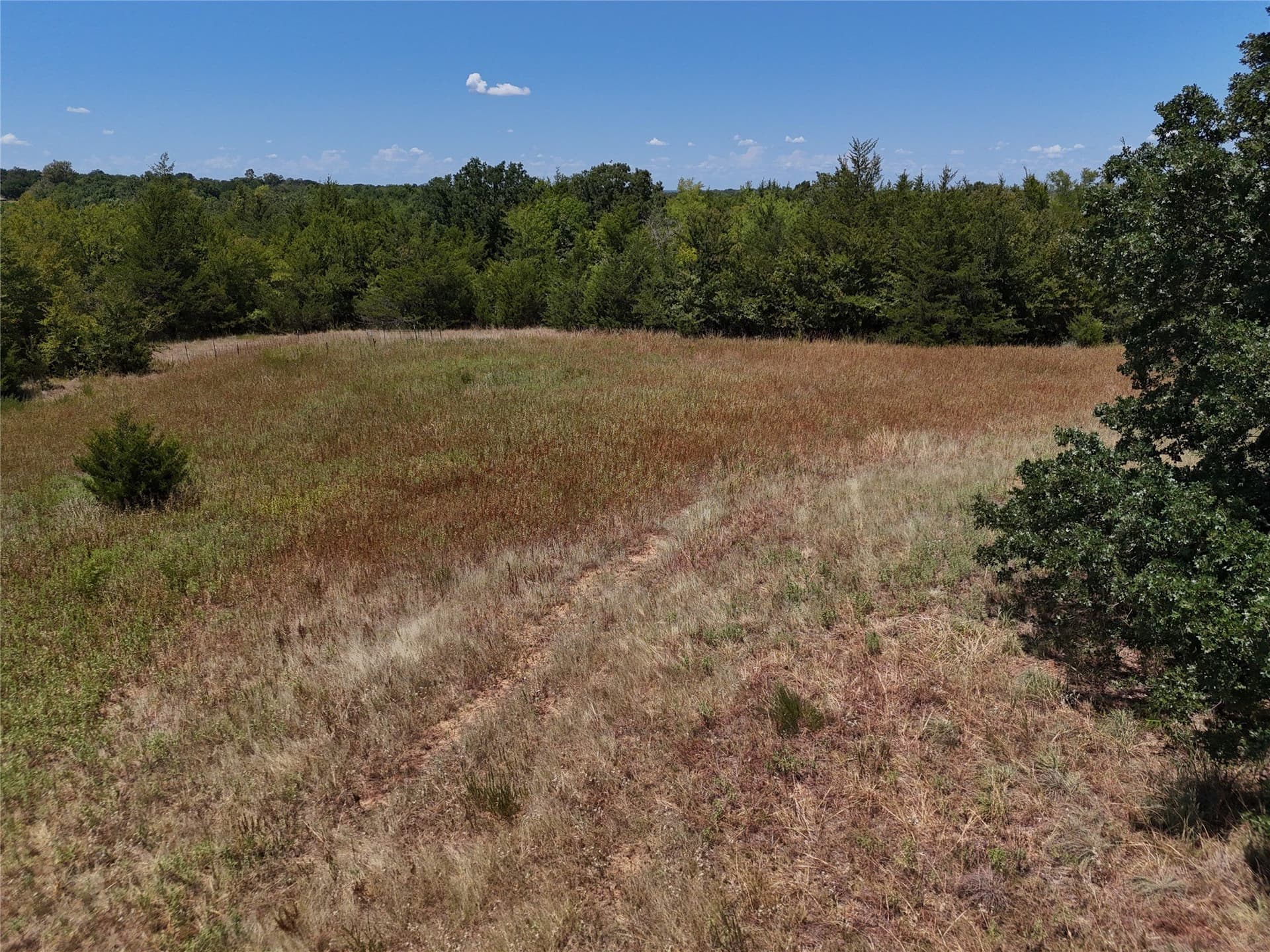16 acres in Fannin County - photo 18