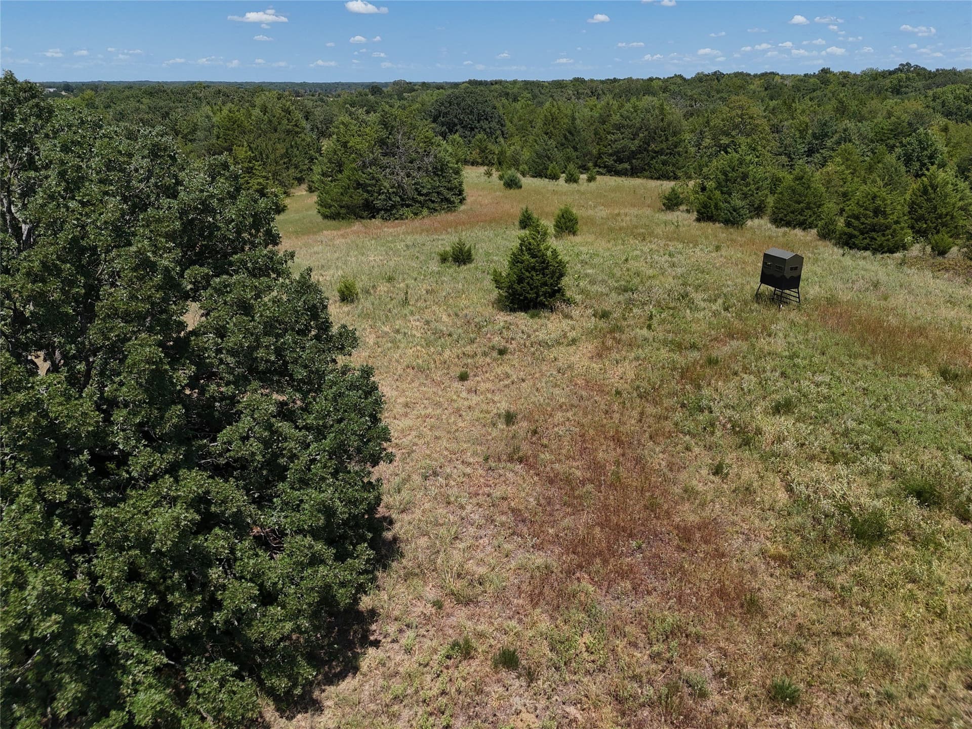 16 acres in Fannin County - photo 20