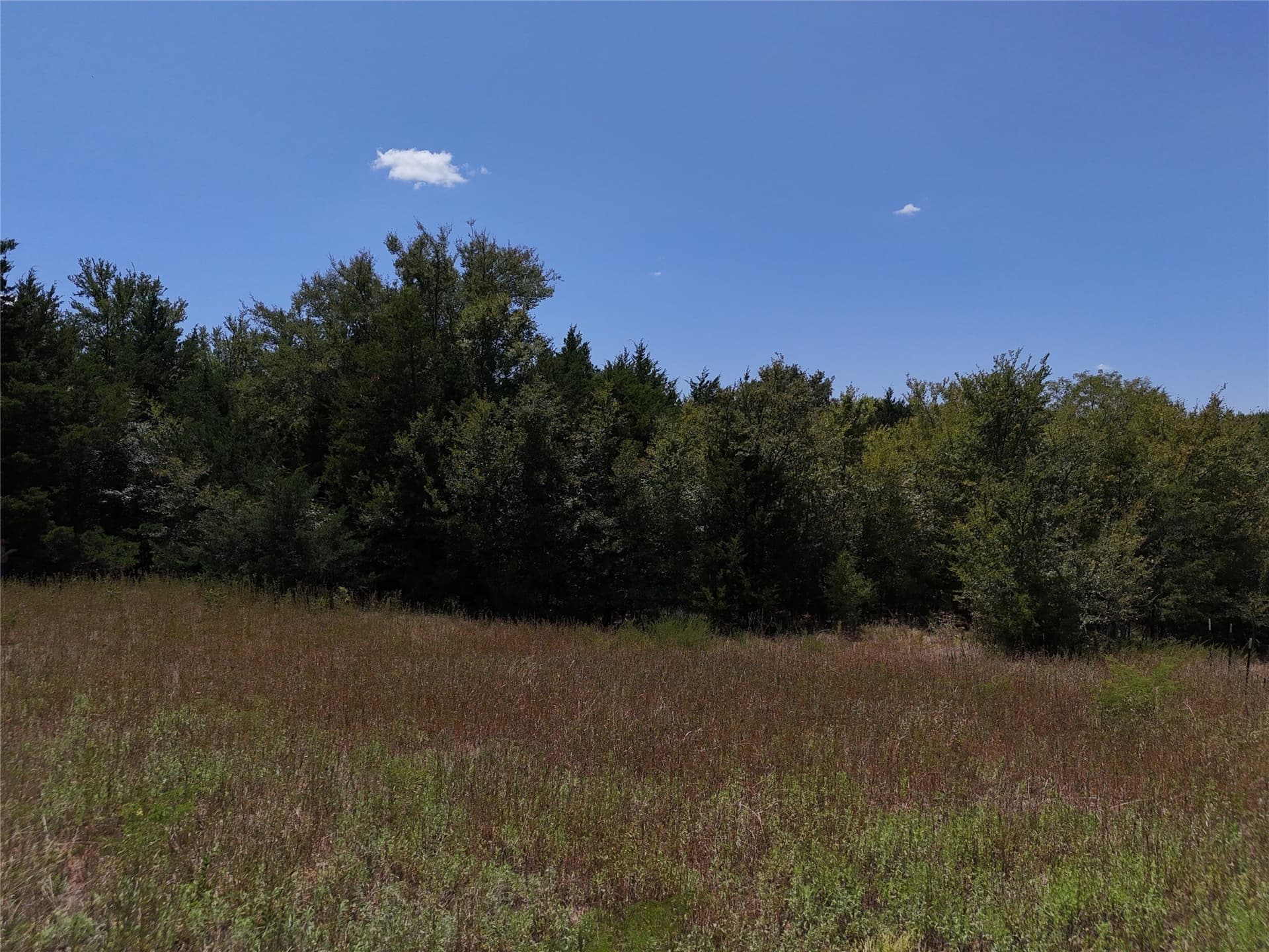 16 acres in Fannin County - photo 24
