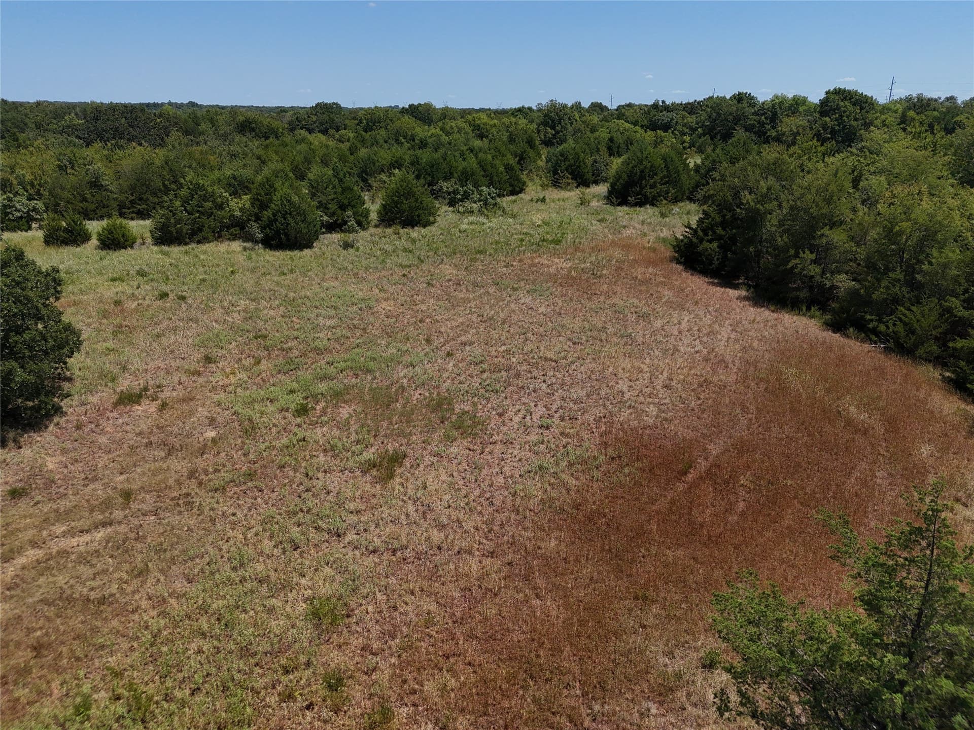 16 acres in Fannin County - photo 15