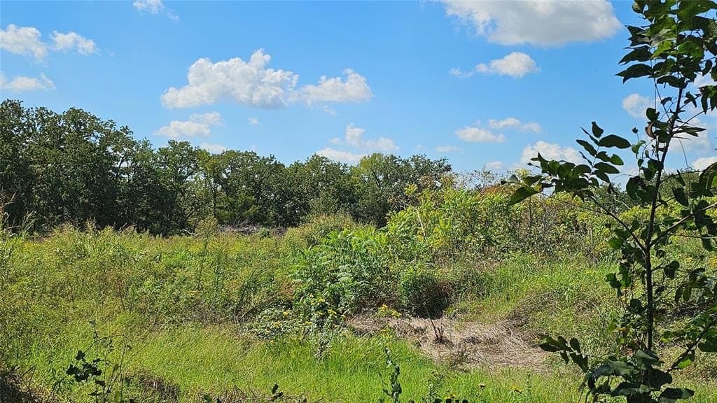 7.96 acres in Denton County gallery image 4