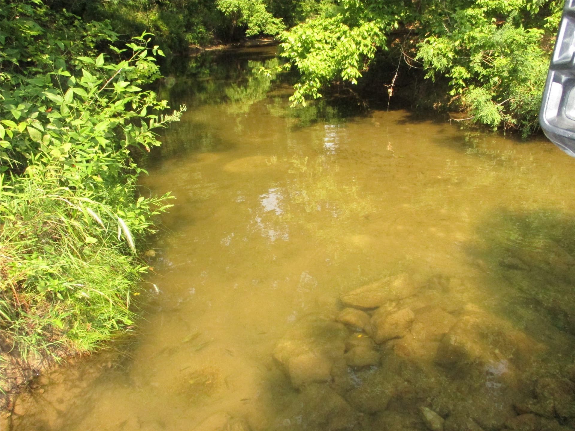55 acres in Montague County featured view