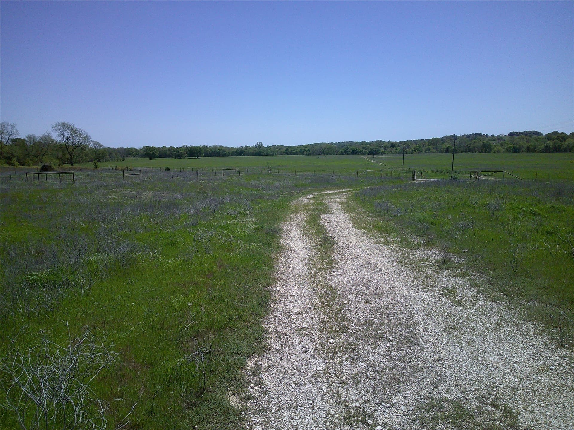 55 acres in Montague County gallery image 2
