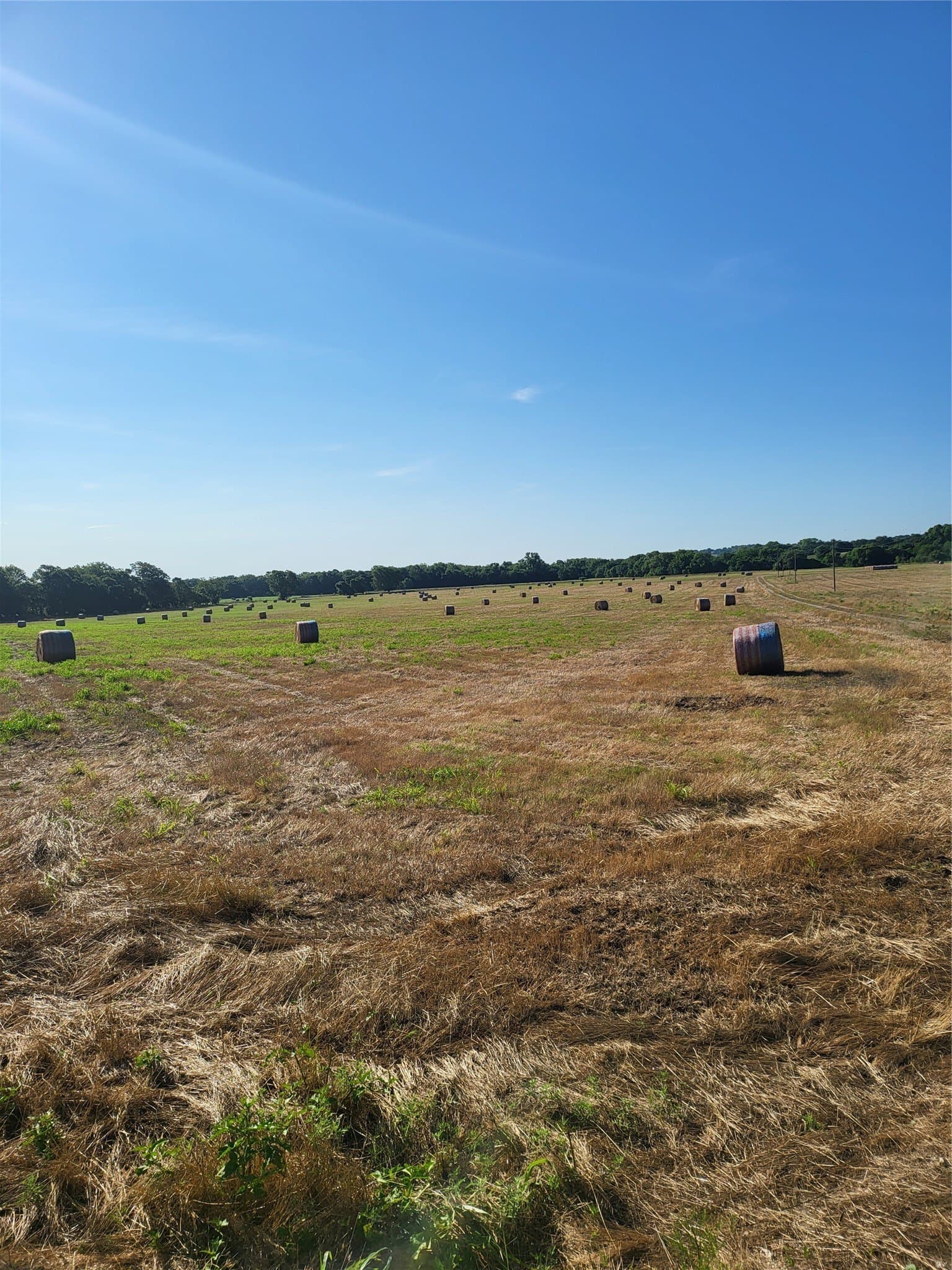 55 acres in Montague County - photo 9