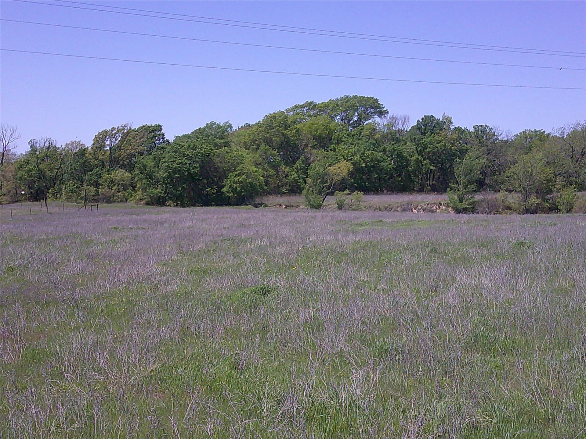 55 acres in Montague County gallery image 3