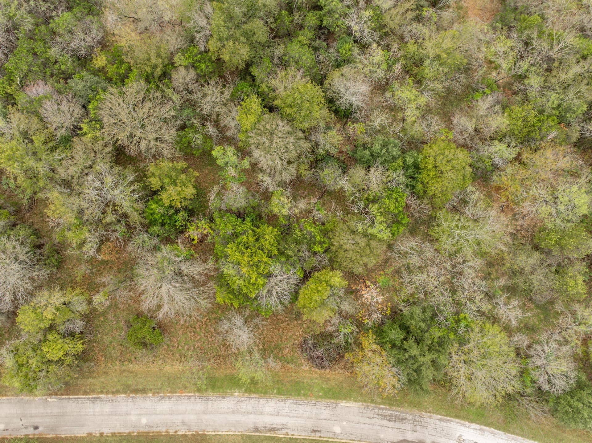 0.15 acres in Hill County - photo 5