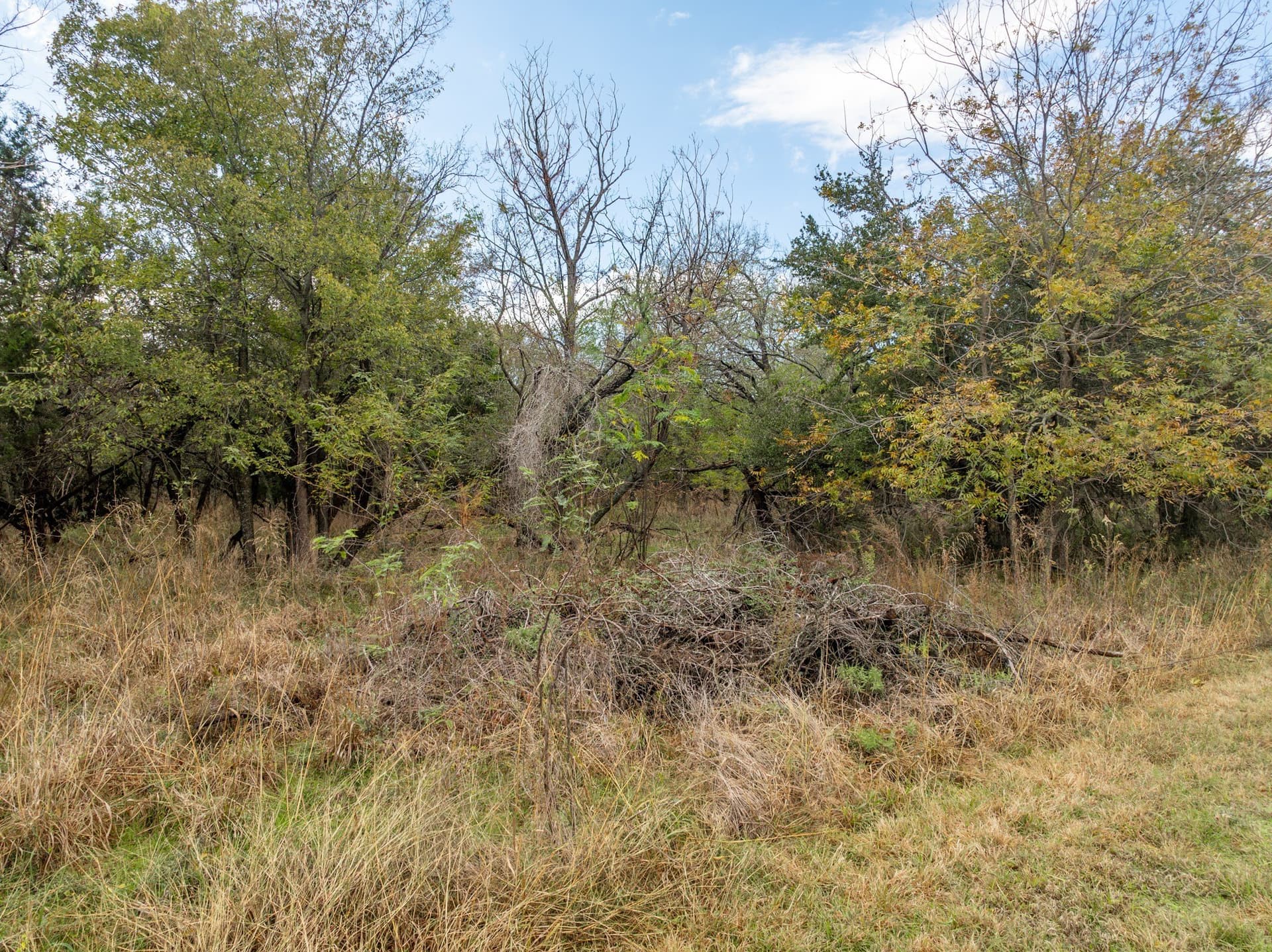 0.15 acres in Hill County - photo 6