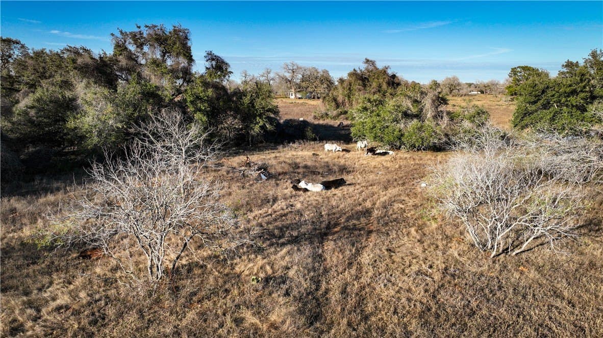 50 acres in Wilson County - photo 10