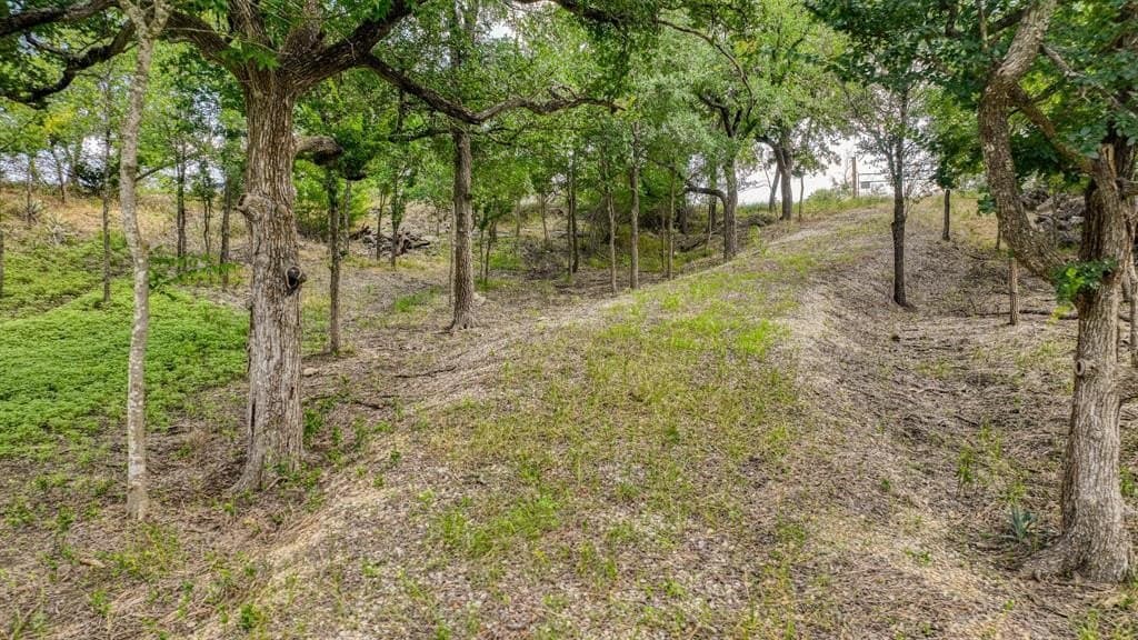 1.01 acres in Parker County gallery image 4