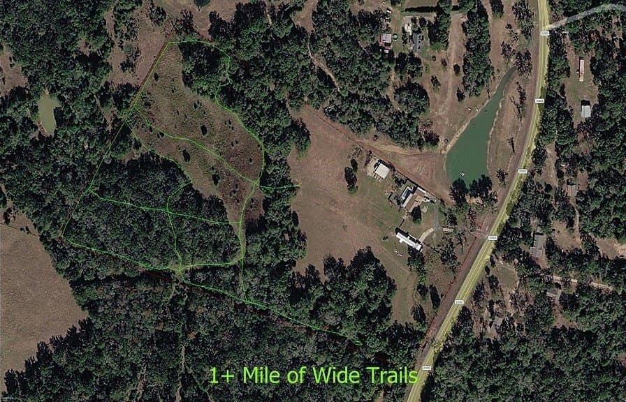 22.91 acres in Burleson County gallery image 2