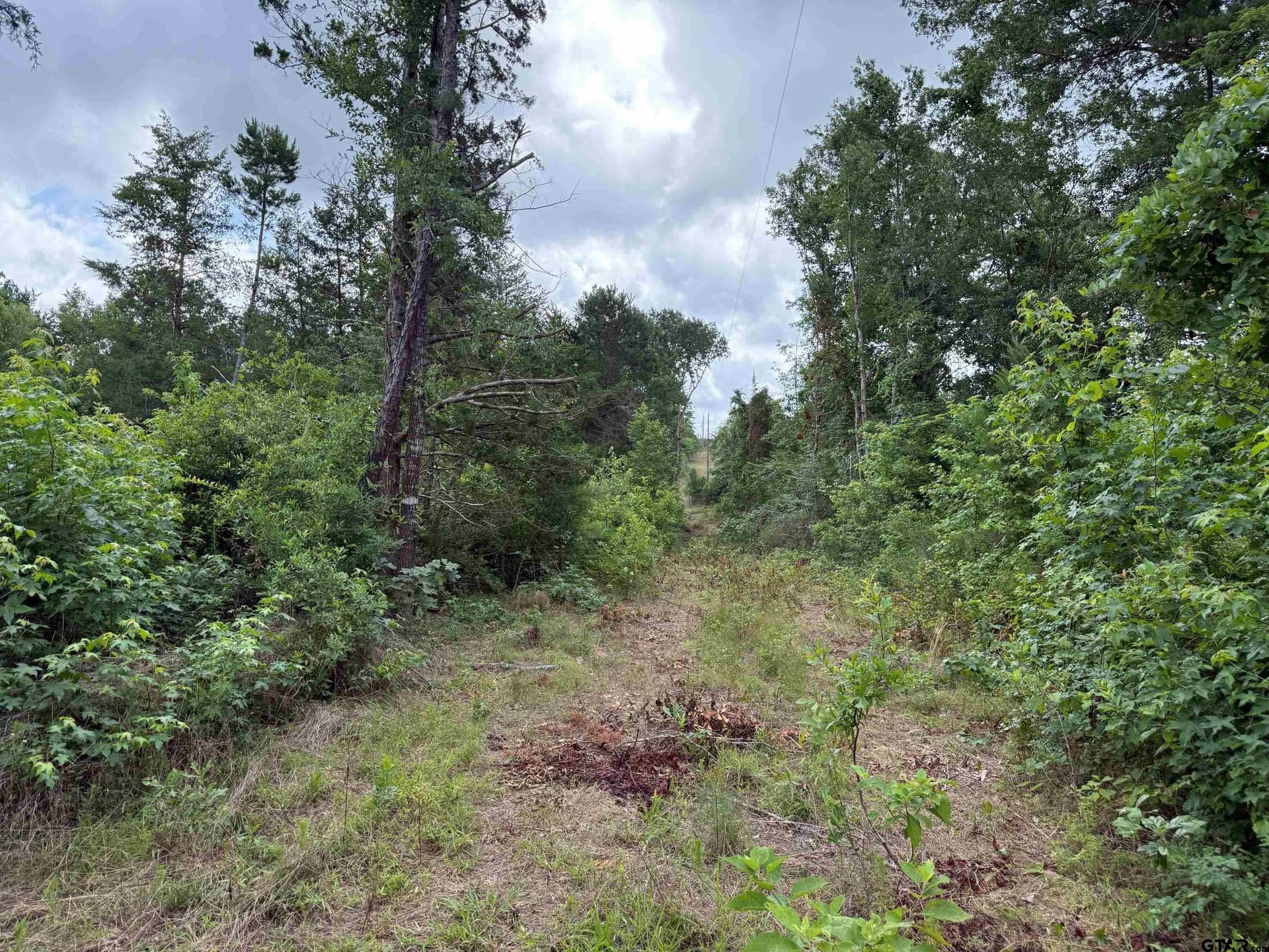 9 acres in Smith County - photo 25