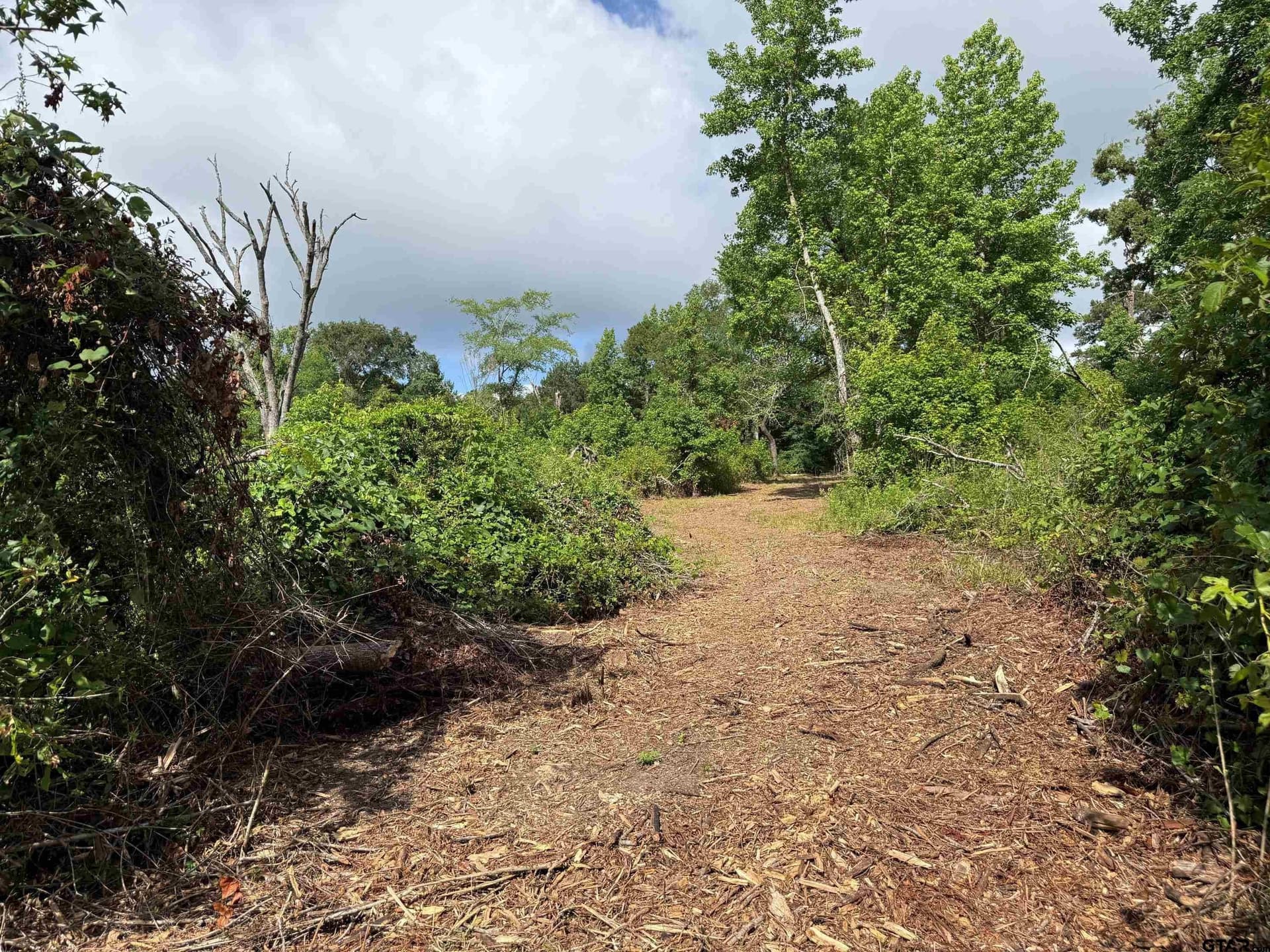 9 acres in Smith County - photo 26