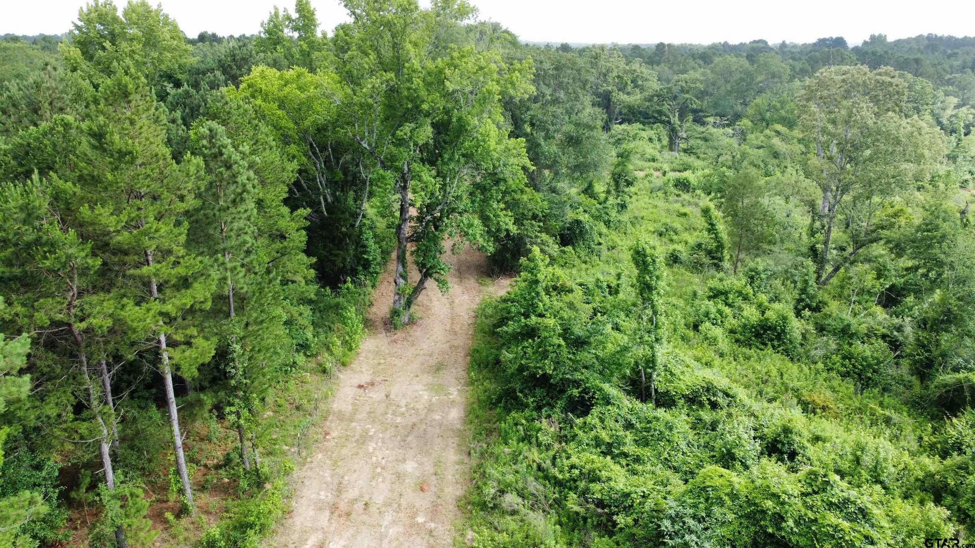 9 acres in Smith County - photo 16