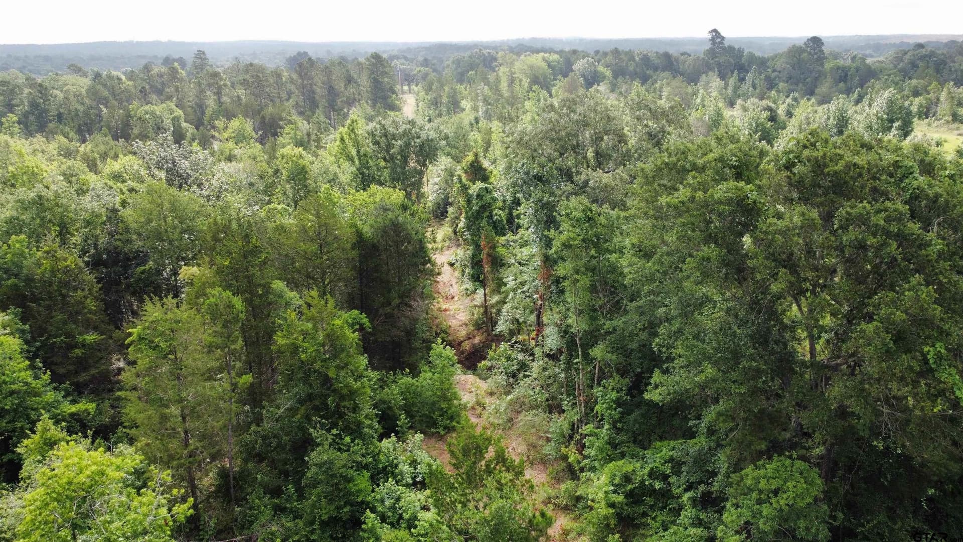 9 acres in Smith County - photo 17