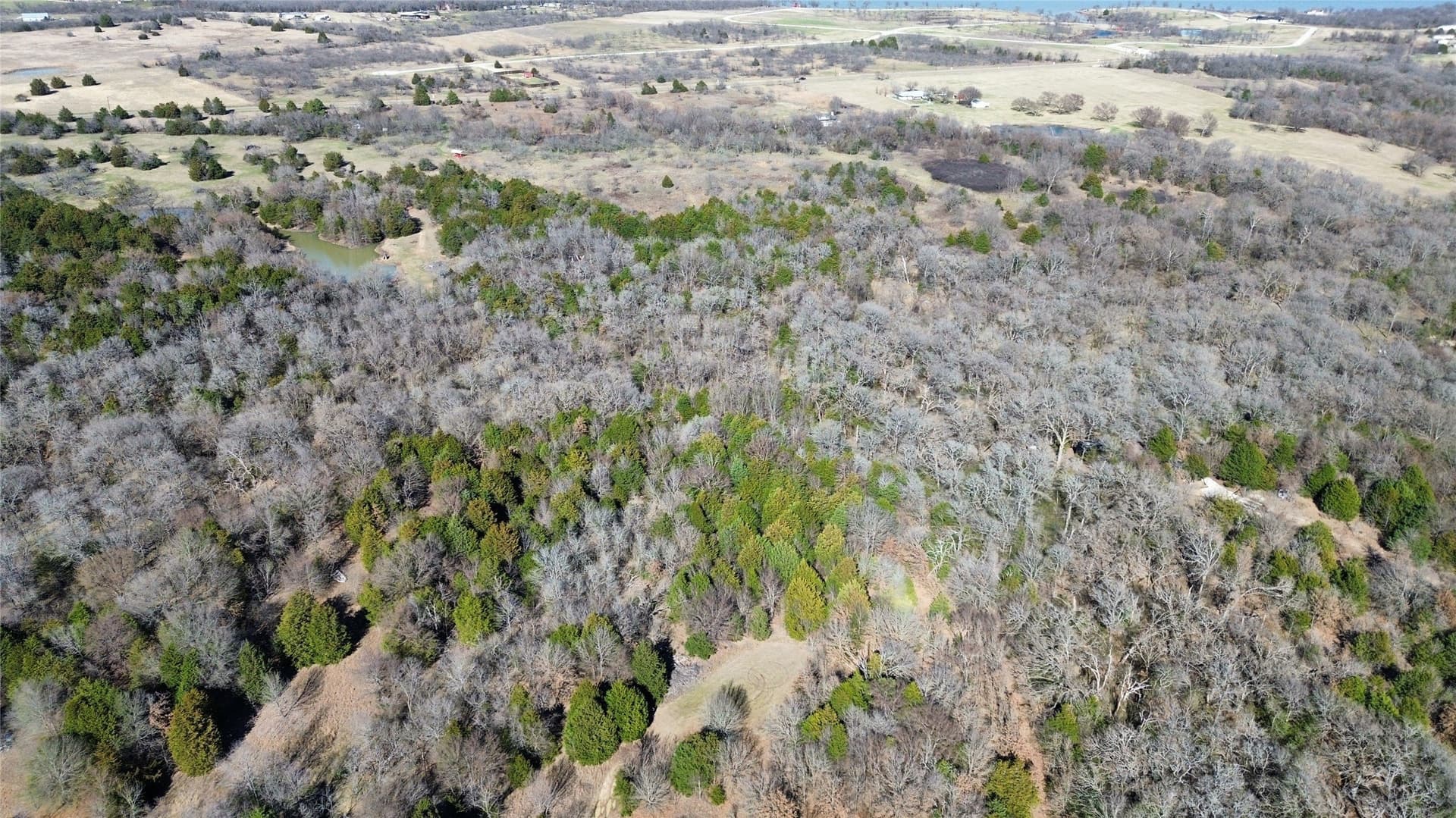 3.37 acres in Navarro County - photo 5