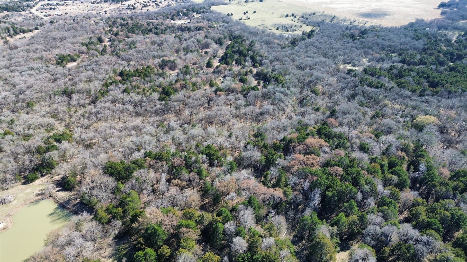 3.37 acres in Navarro County - photo 14
