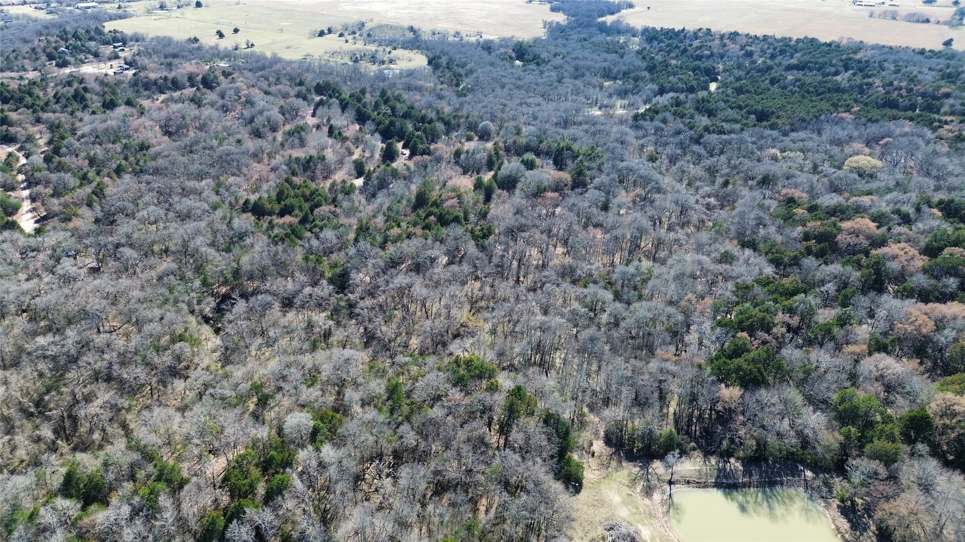 3.37 acres in Navarro County - photo 12