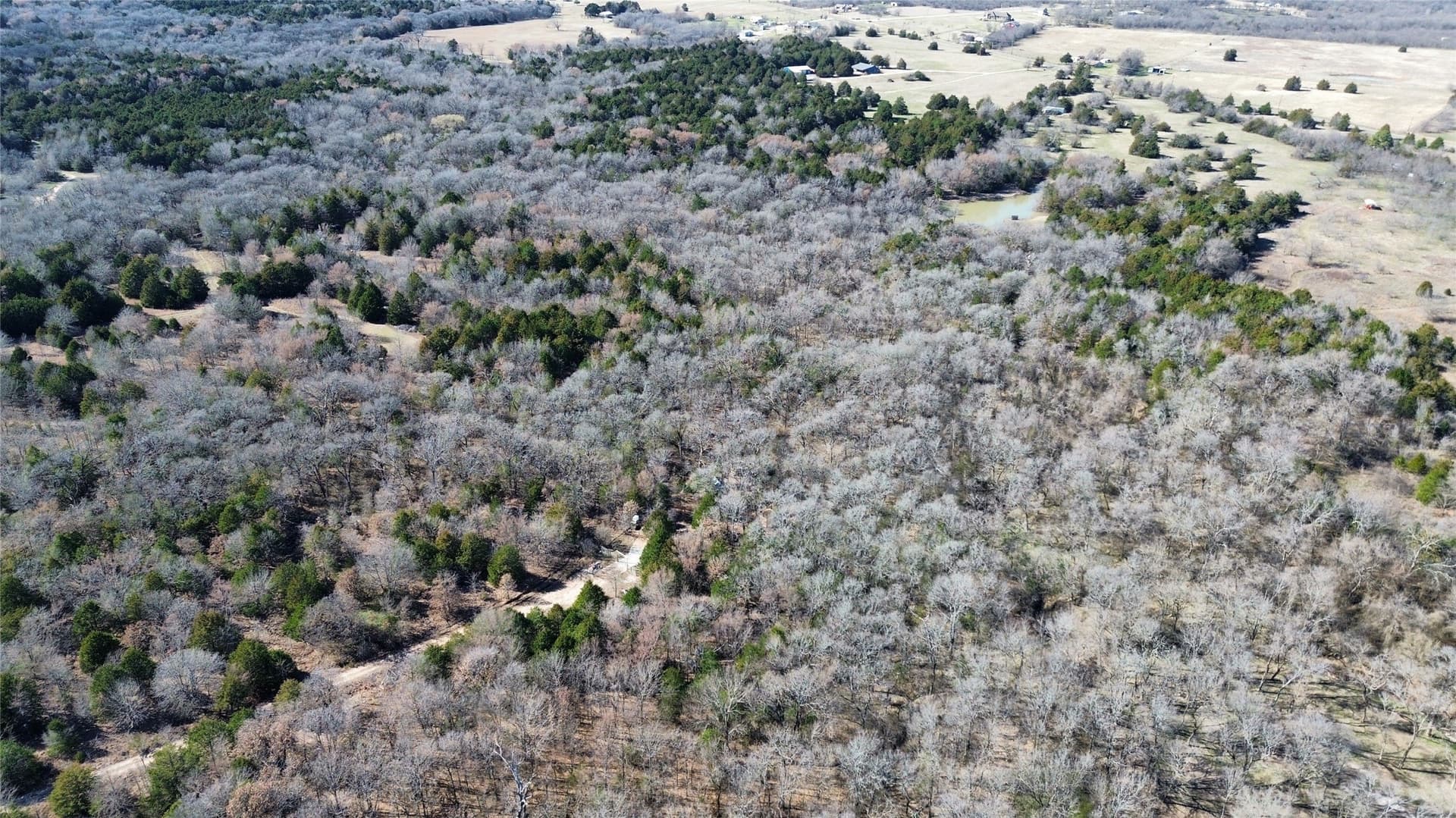 3.37 acres in Navarro County - photo 8