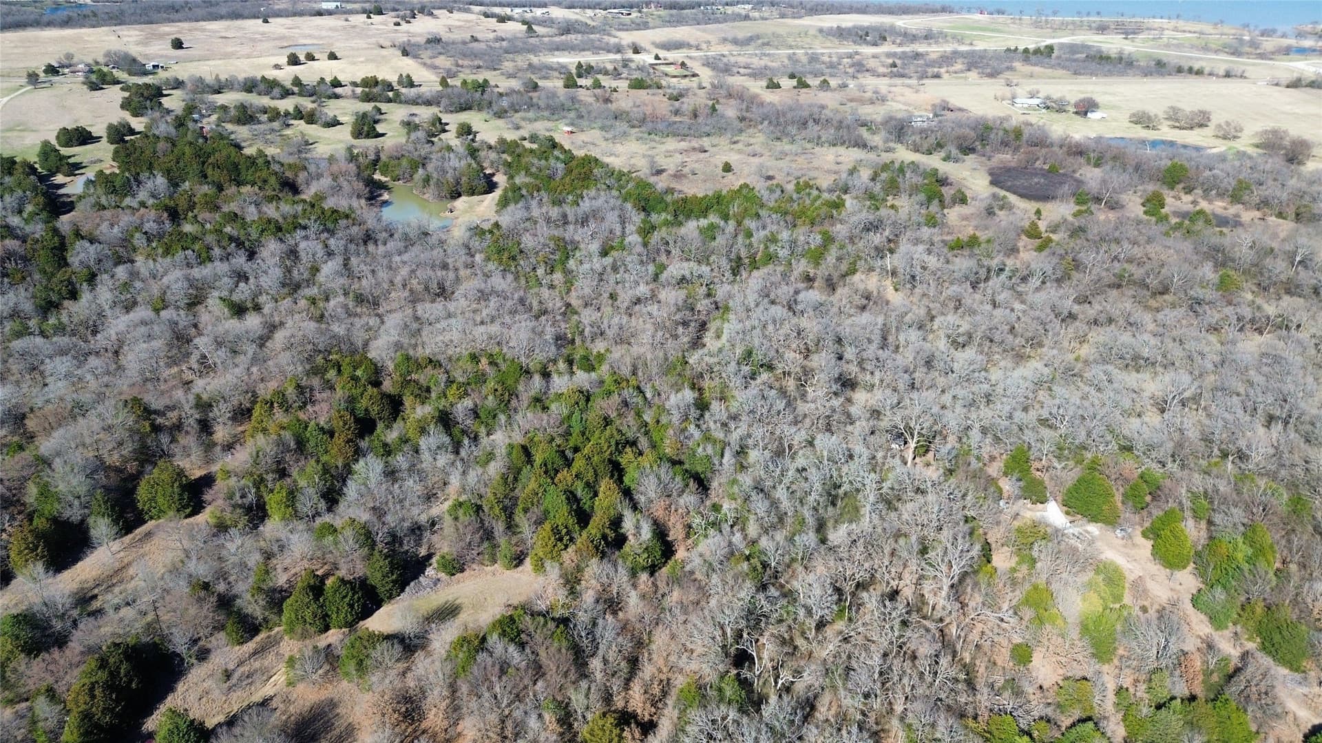 3.37 acres in Navarro County - photo 6