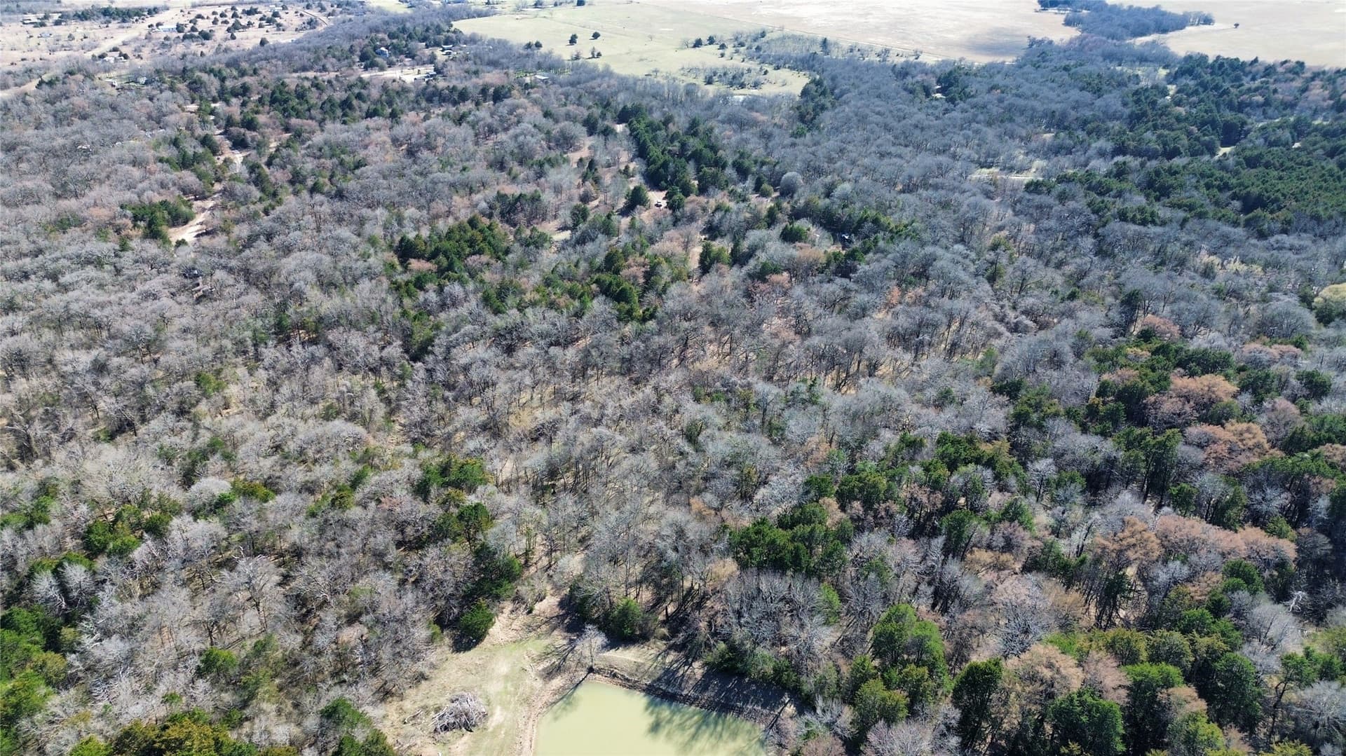 3.37 acres in Navarro County - photo 13