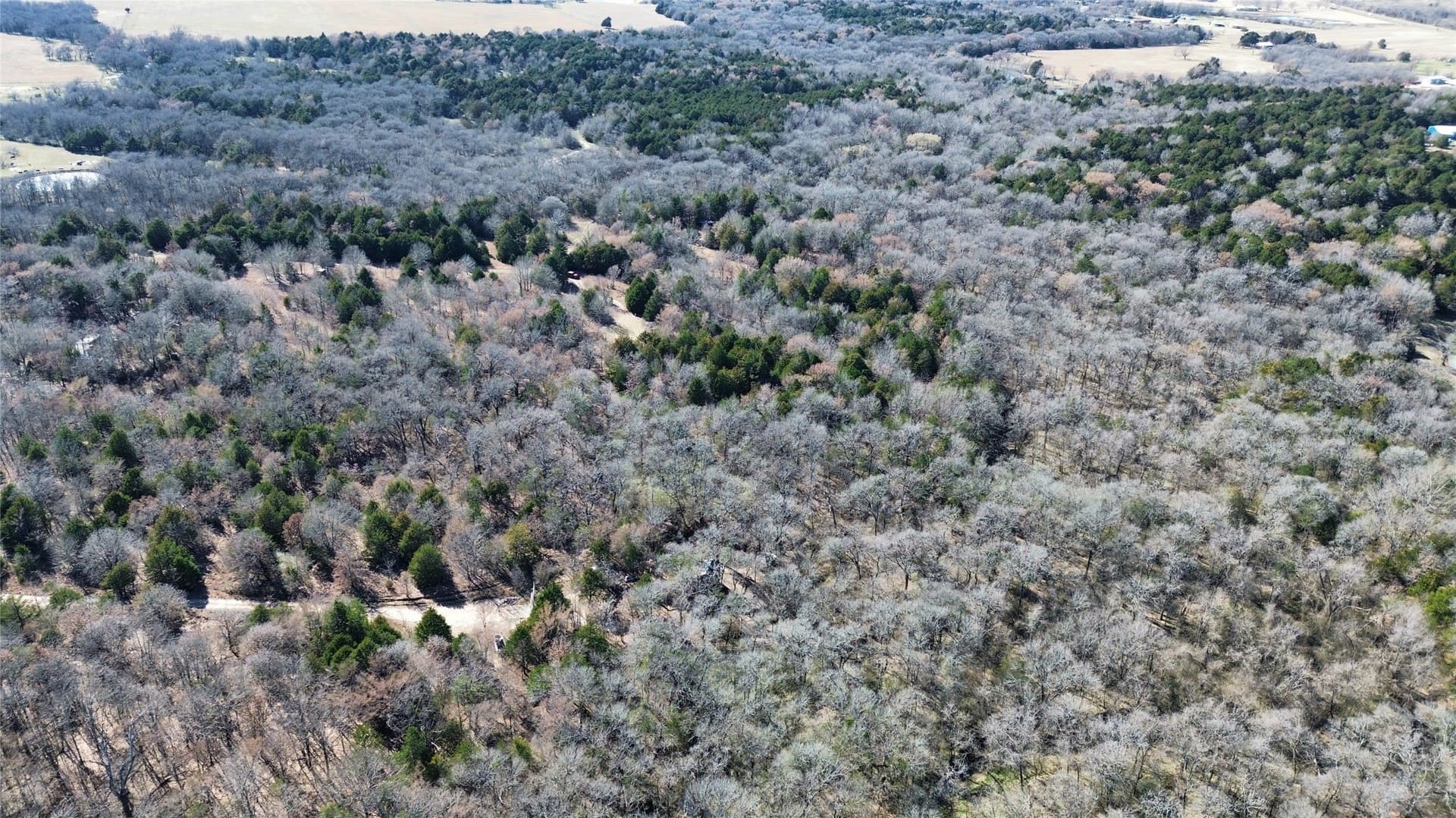 3.37 acres in Navarro County - photo 9