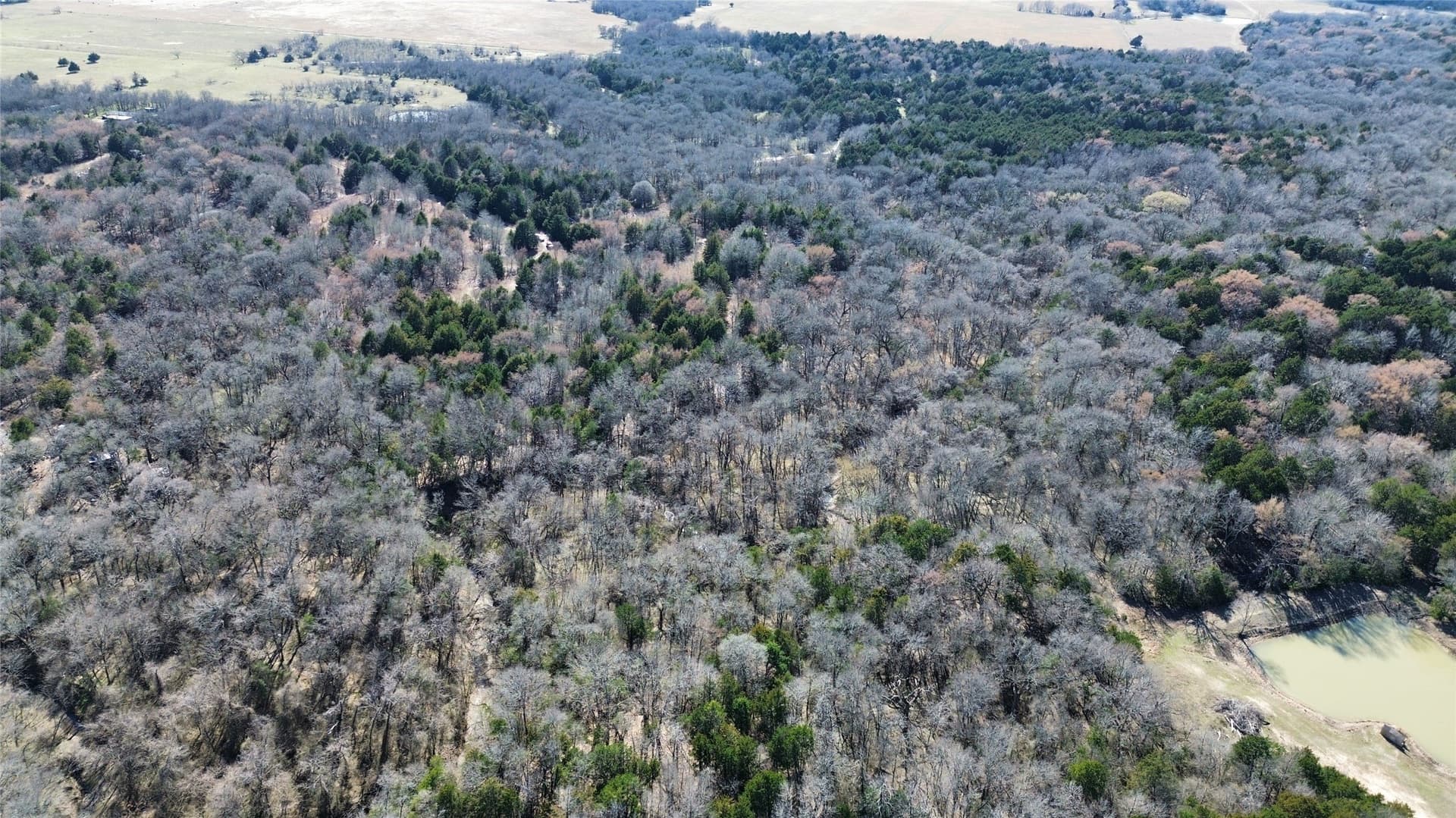 3.37 acres in Navarro County - photo 11