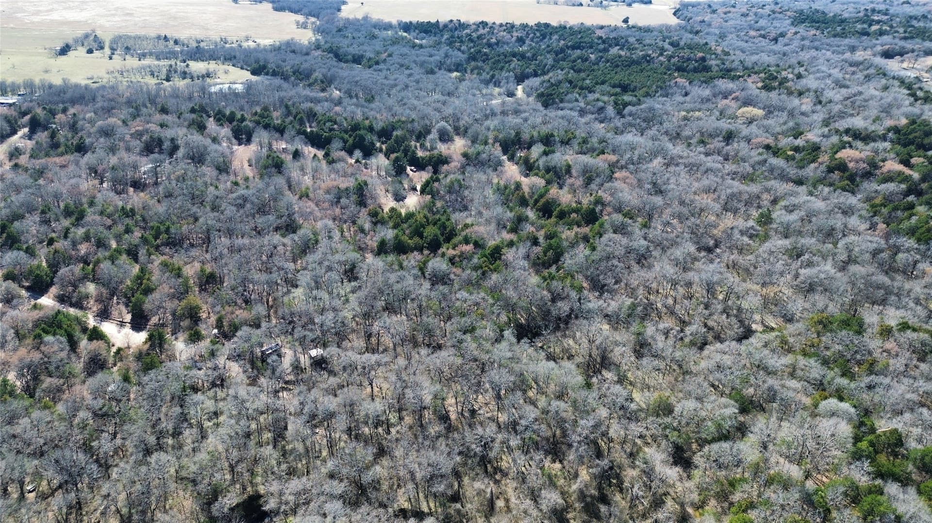 3.37 acres in Navarro County - photo 10