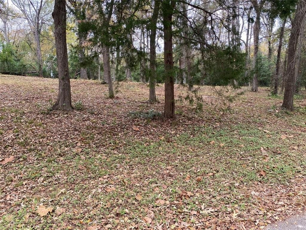 0.75 acres in Anderson County gallery image 2