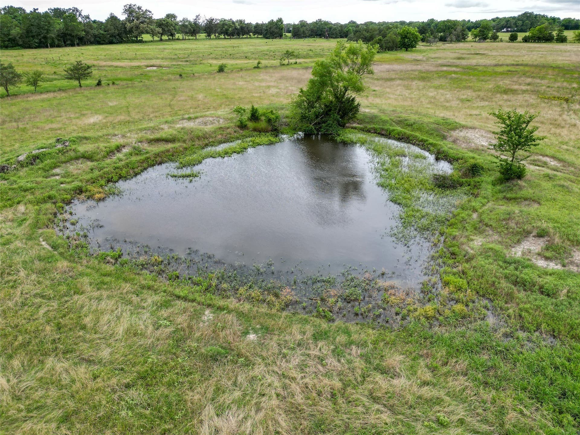 10 acres in Wood County - photo 5