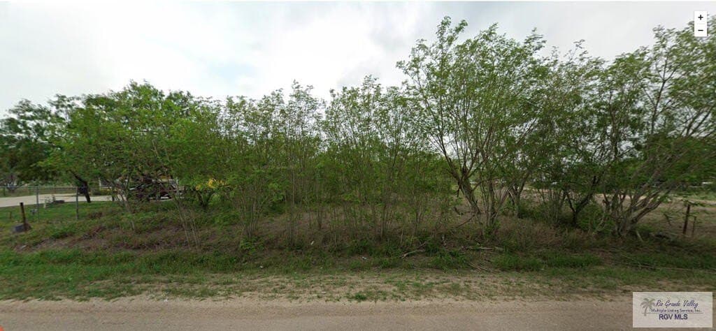 0.58 acres in CAMERON County - photo 2