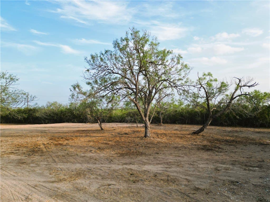 157.29 acres in Duval County - photo 15