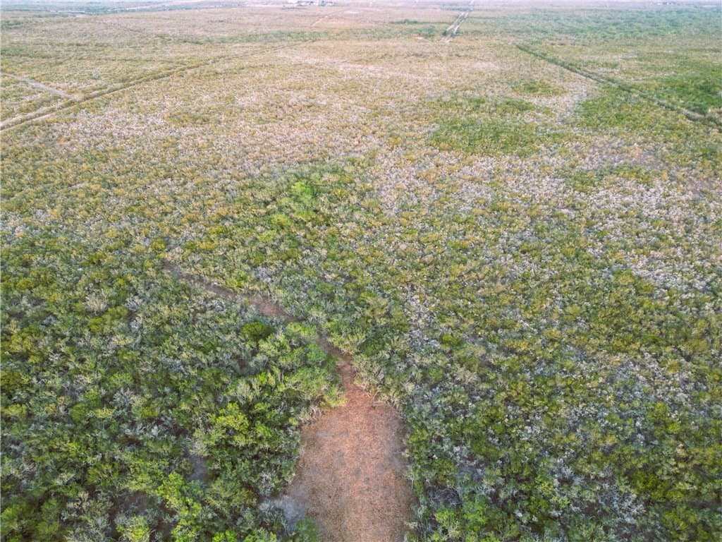 157.29 acres in Duval County - photo 8