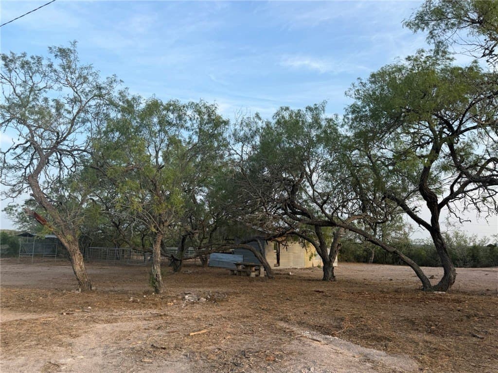 157.29 acres in Duval County - photo 9