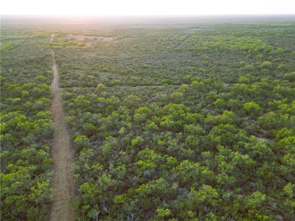 157.29 acres in Duval County - photo 12
