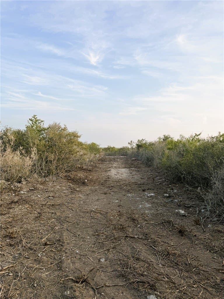 157.29 acres in Duval County - photo 16