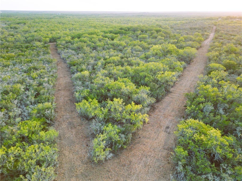 157.29 acres in Duval County - photo 10